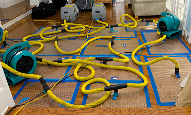 Professional Water Damage Repair technician working in Newton Center, MA